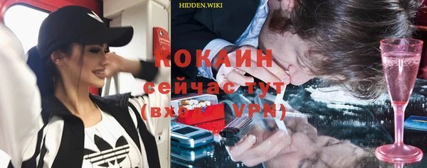 дурь Алексин
