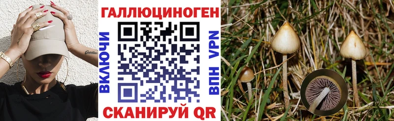 мега зеркало  дарк нет состав  Галлюциногенные грибы мицелий  Бобров 